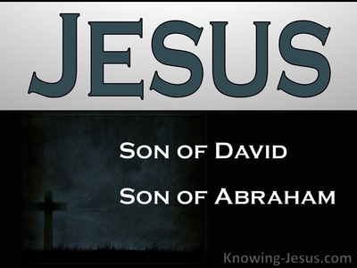 God’s Perfect Plan - Perfect MAN Eternal SON (21)